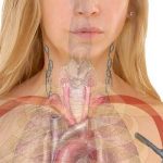 12 Causes of Hypothyroidism