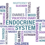 8 Iodine Uses in the Body: Benefits and Risks for Your Health